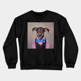 Shelter Pets Project - Hitch Crewneck Sweatshirt